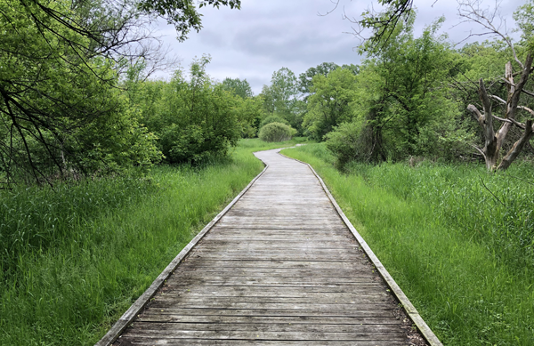 Photo of a wooden walkway through the Silver Creek nature preserve.