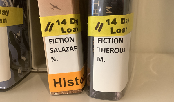 Photo of two spine labels on two books with yellow "14 Day Loan" tape.